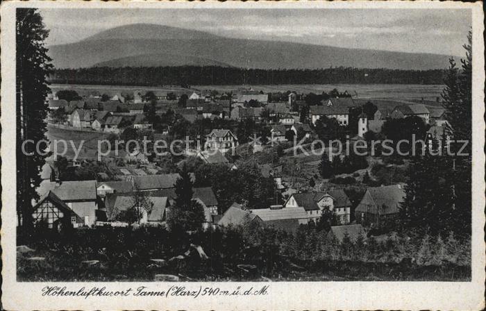 Tanne Harz Panorama Hoehenluftkurort
