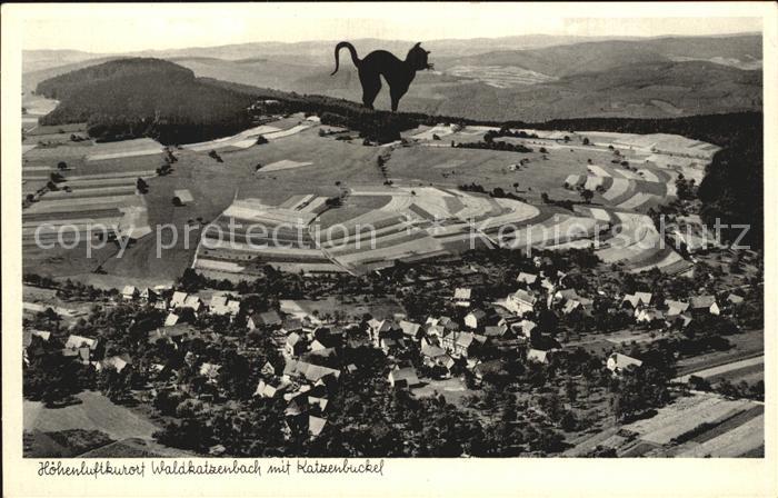 Waldkatzenbach mit Katzenbuckel Schwarzer Kater Fliegeraufnahme