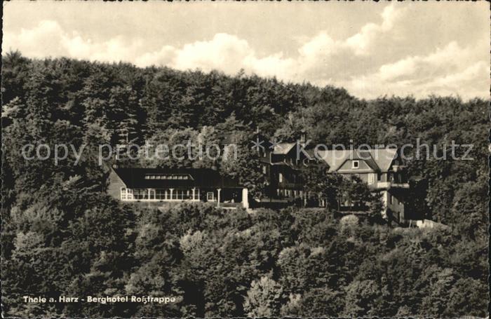 Thale Harz Berghotel Rosstrappe