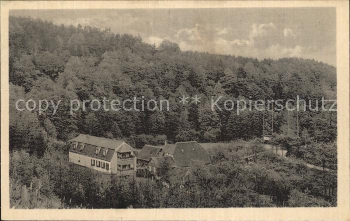 Eisenberg Thueringen Waldhotel Pfarrmuehle im Muehltal