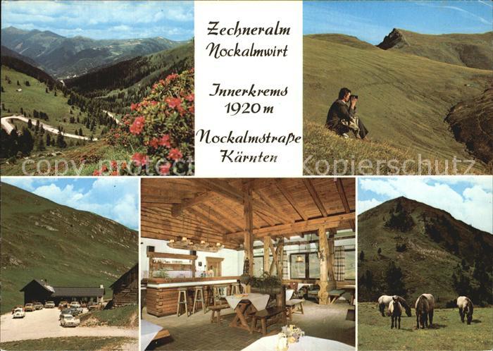 Kremsbruecke Nockalmwirt Zechneralm Fernsicht Alpenpanorama Pferde