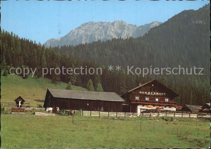 Leutasch Haemmermoosalm im Leutascher Gaistal Teufelsgrat Wettersteingebirge