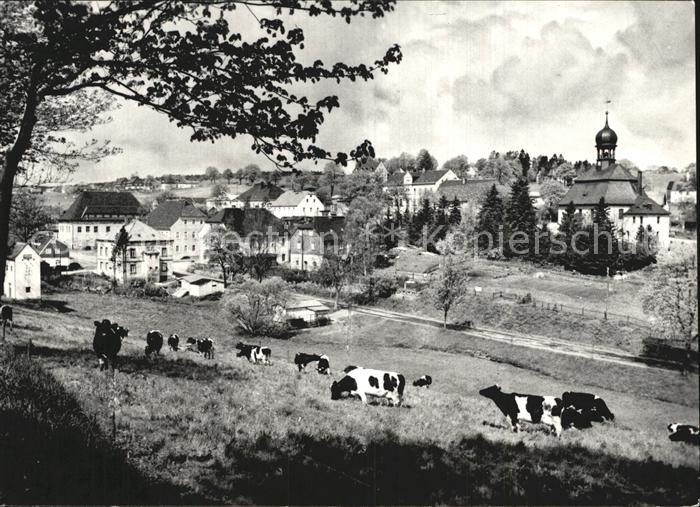 Ruebenau Ortsansicht mit Kirche Viehweide Kuehe