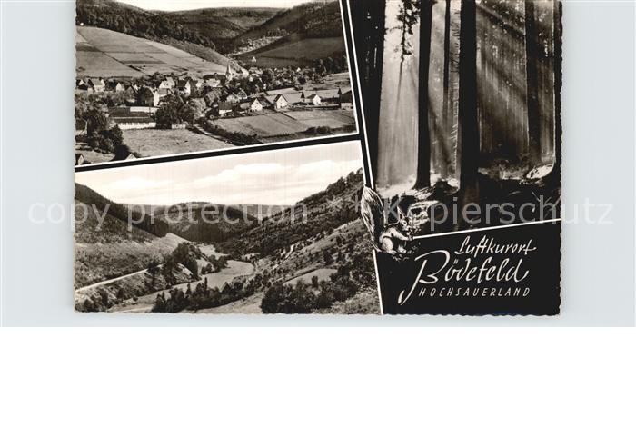 Boedefeld Panorama Waldpartie Eichhoernchen Luftkurort