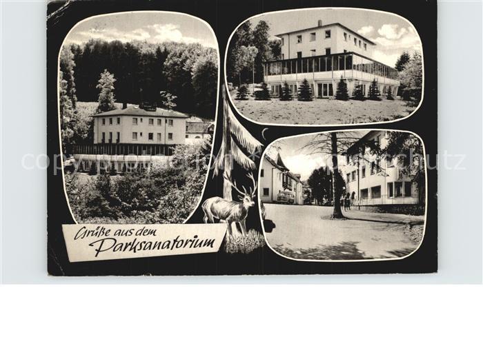 Braunfels Parksanatorium Hirsch