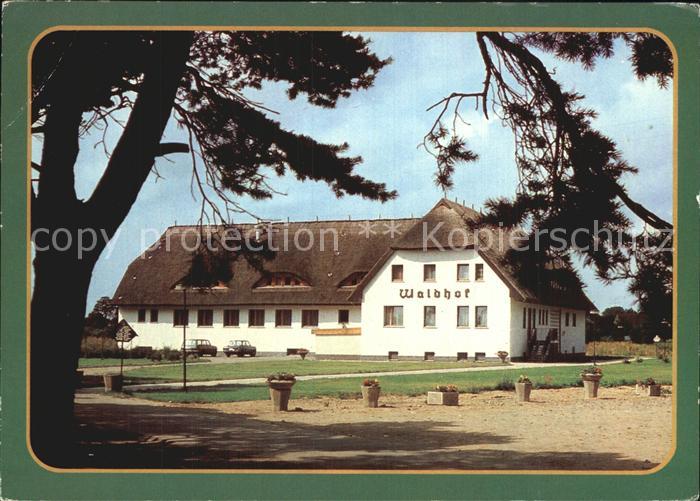 Trassenheide Usedom Waldhof