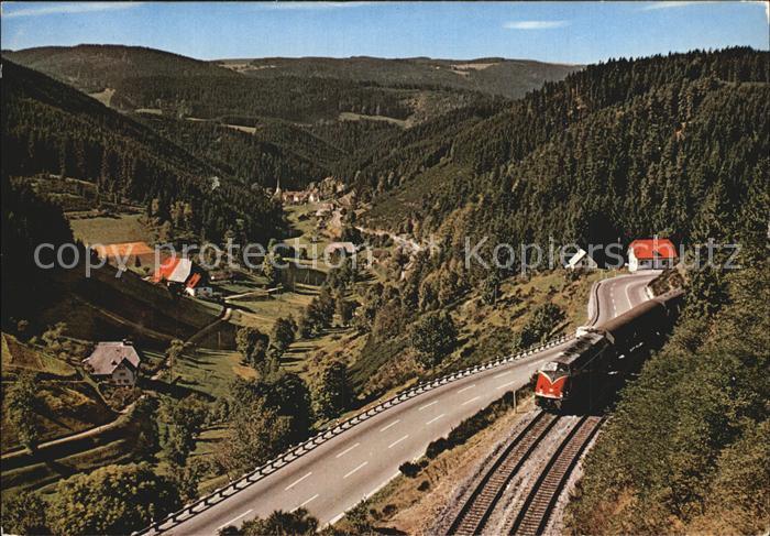 Triberg Schwarzwald Nussbachtal Eisenbahn