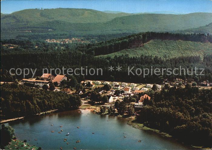 Ludwigswinkel Fliegeraufnahme Schoental mit Weiher