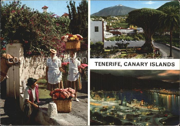 Tenerife Hafen bei Nacht Blumenfrauen