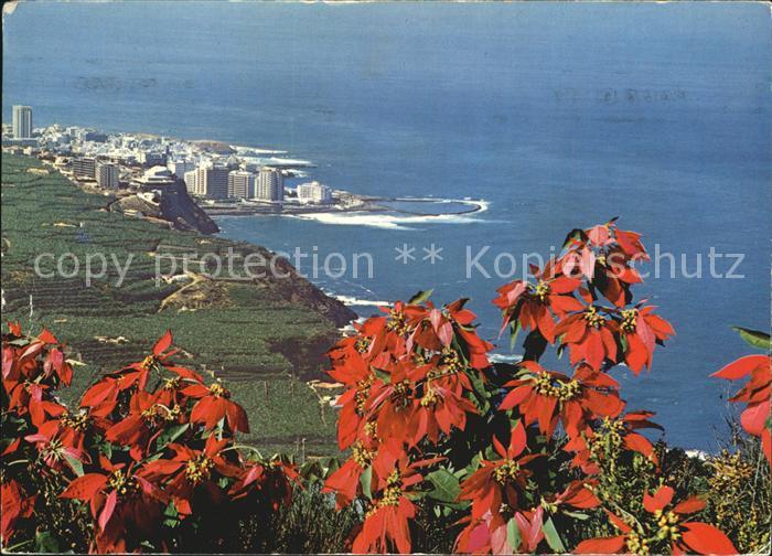 Tenerife Nordkueste mit Puerto de la Cruz