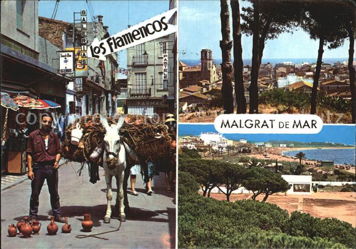 Malgrat de Mar Stadtansichten Bauer mit Esel