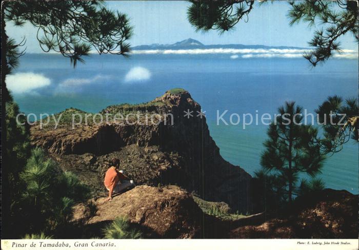 Gran Canaria Pinar de Tamadaba