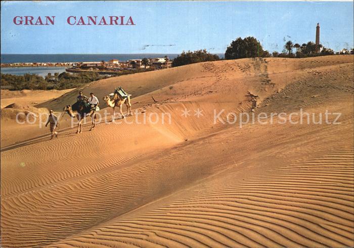 Maspalomas Kamelreiter auf der Duene