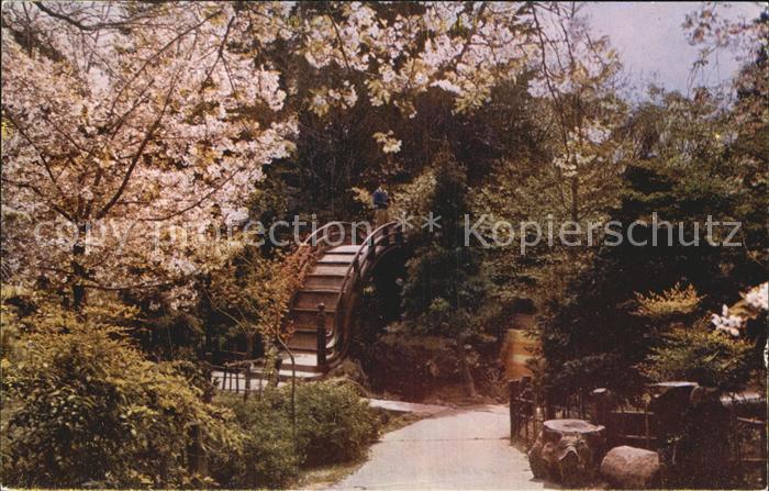 San Francisco California Oriental Tea Garden Golden Gate Park