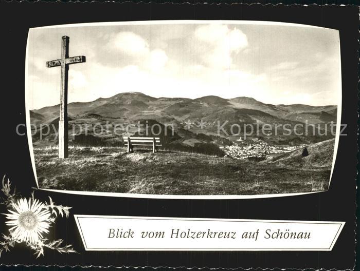 Holz Schoenau Blick vom Holzerkreuz auf Schoenau Distel