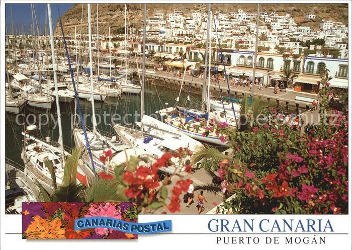 Mogan Puerto Hafen Segelyachten