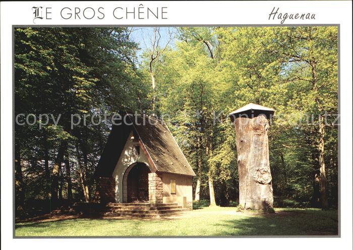 Haguenau Bas Rhin Chapelle St Arbogast et le Gros Chene