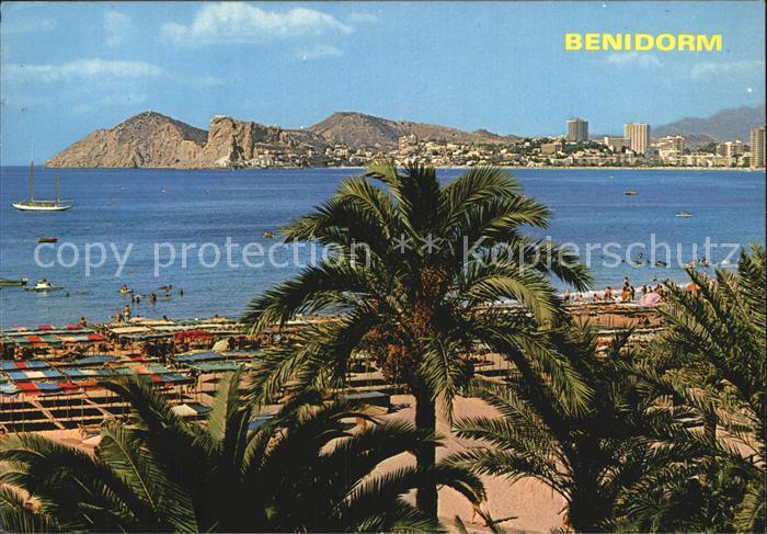 Benidorm Panorama Strand Palmen