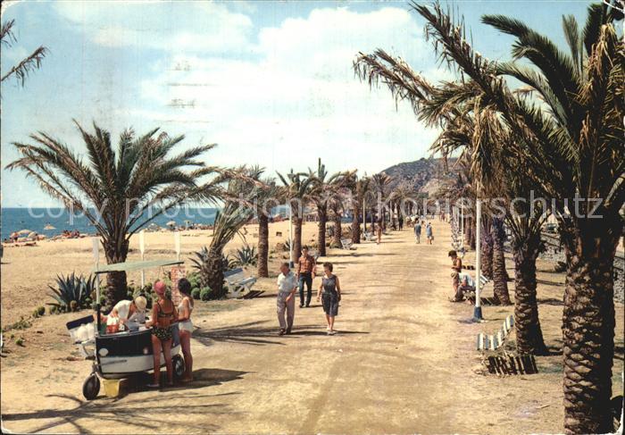 Calella Paseo de las Palmeras Palmenpromenade