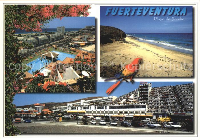 Playa de Jandia Hotelanlage Swimming Pool Strand Pagagei