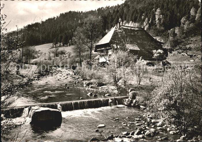 Donaueschingen Bauernhaus im Schwarzwald