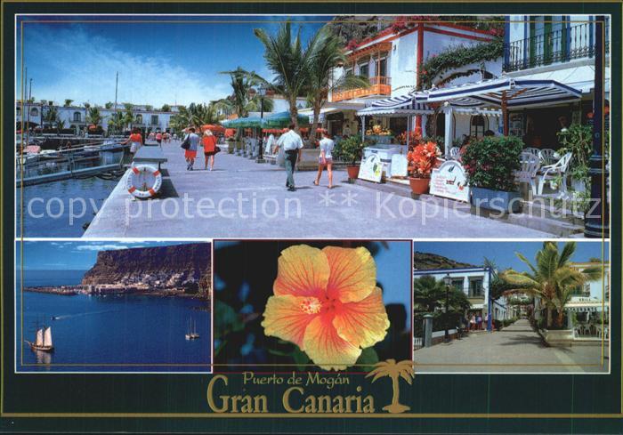 Mogan Uferpromenade Hafen Blumen