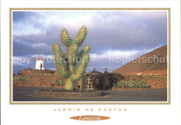 Lanzarote Kanarische Inseln Jardin de Cactus Molino Kakteen Windmuehle