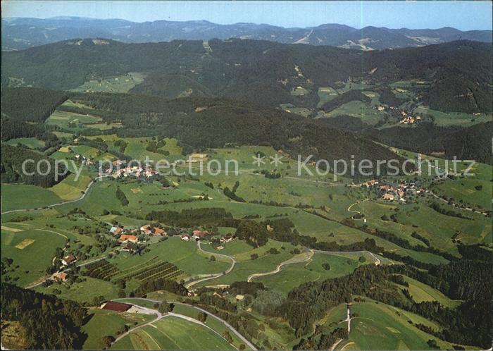 Raich mit Ried und Hohenegg Fliegeraufnahme