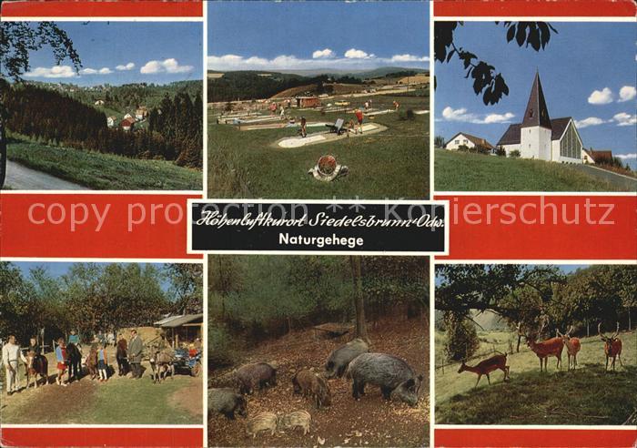 Siedelsbrunn Naturgehege Minigolf Kirche Hoehenluftkurort