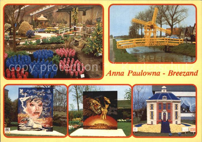 Breezand Anna Paulowna bolbloemenshow