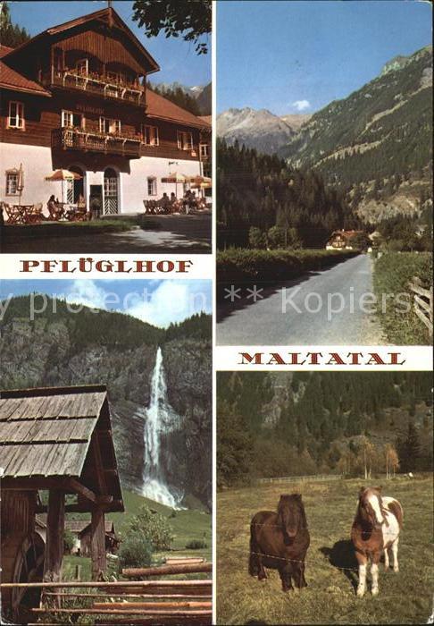 Millstatt Millstaettersee Alpenhotel Pflueglhof Maltatal Wasserfall Wasserrad Po