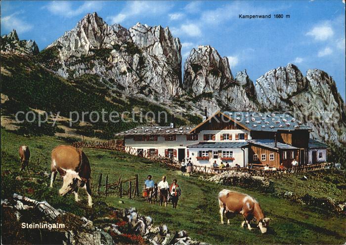 Aschau Chiemgau Steinlingalm mit Kampenwand Bayerische Alpen Kuehe