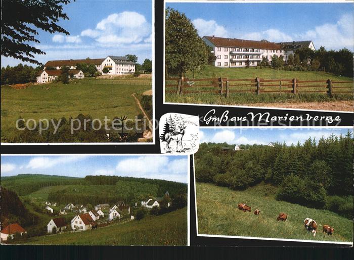 Elkhausen Erholungsheim Haus Marienberge Ortsansicht Viehweide Kuehe