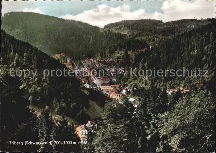 Triberg Schwarzwald Blick ins Tal