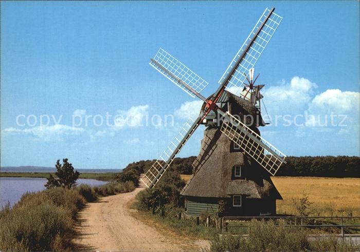 Gelting Schleswig Holstein Windmuehle Charlotte von 1826 am Geltinger Noor Natur