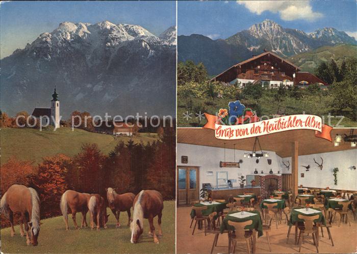Piding Berggaststaette Neubichleralm am Hoegl Haflinger Pferde Untersberg St Joh