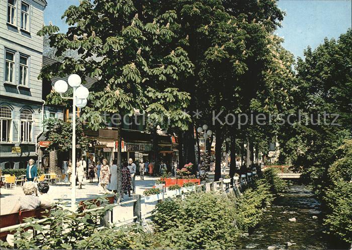 Bad Harzburg Partie an der Radau