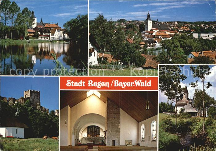 Regen Burg Kirche Panorama