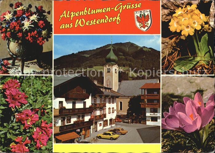 Westendorf Tirol Azaleen Schluesselblume Krokuse Ortsansicht