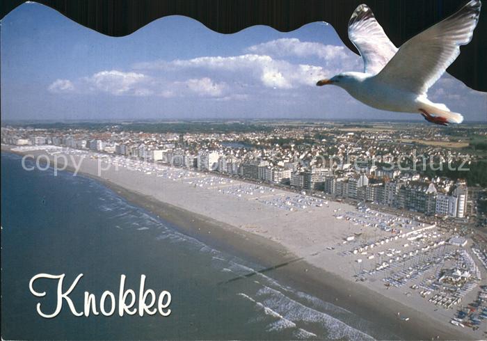 Knokke-Heist Luftaufnahme Strand Moewe