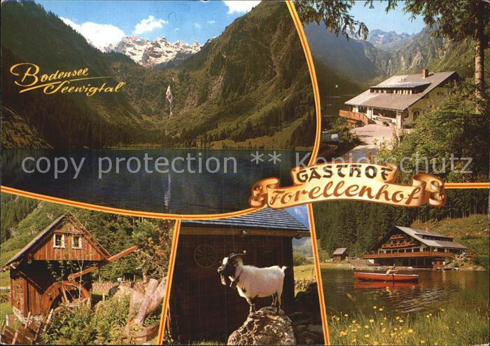 Aich Assach Steiermark Gasthof Forellenhof Bodensee Seewigtal