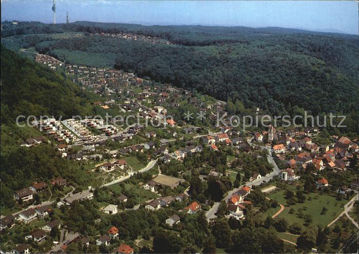 Grenzach-Wyhlen Luftaufnahme