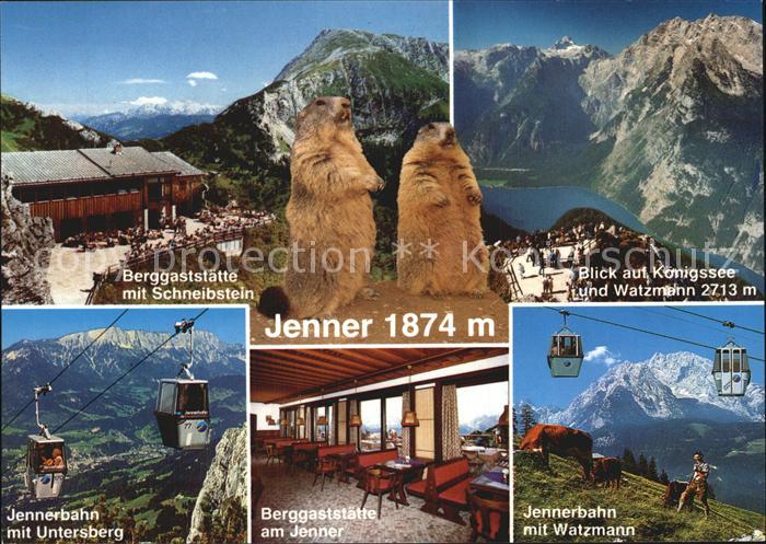 Jenner Berchtesgaden Koenigssee Watzmann Restaurant Schneibenstein Jennerbahn mi