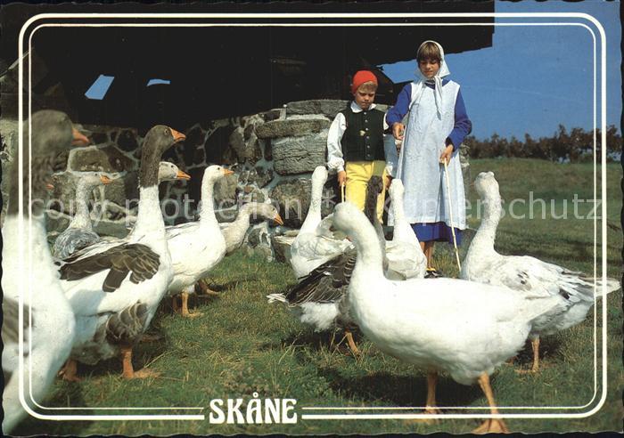 Skane Gaense Kinder