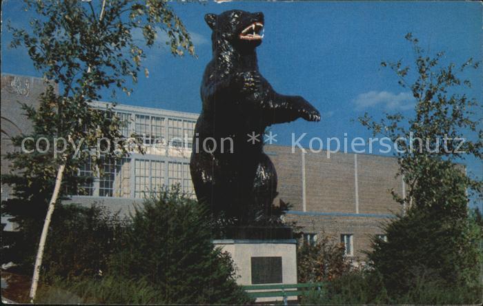 Maine The University of Maine fighting black bear