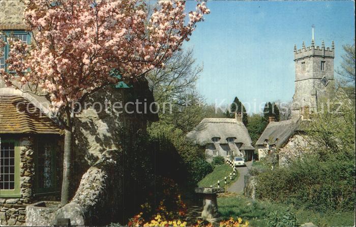 Godshill Thatched cottages and church