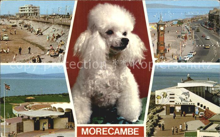 Morecambe Lancashire Sands Leisure Center Promenade Marineland