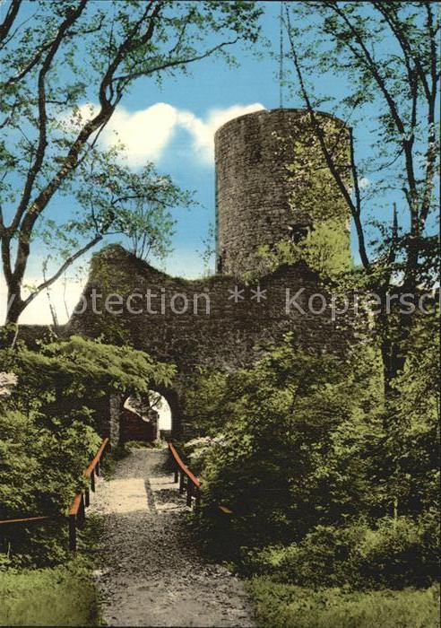 Nagold Ruine Hohennagold
