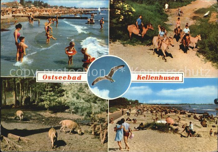 Kellenhusen Ostseebad Strand Duenen Reiter