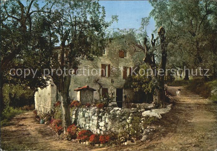 Le Mas Roquefort les pins